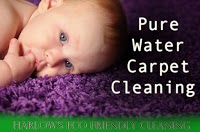 Carpet Cleaners 351627 Image 2